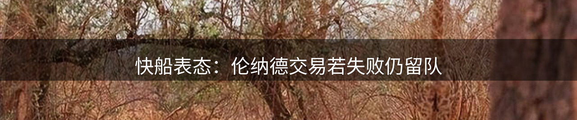新闻报道