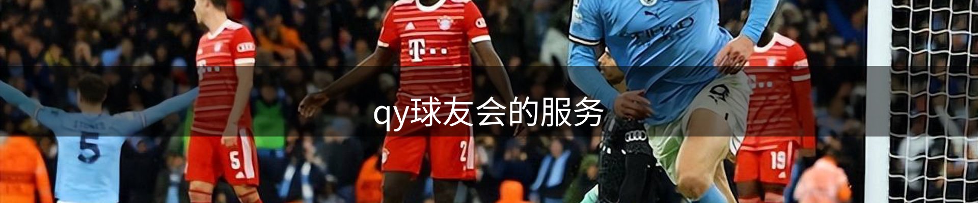 qy球友会的服务